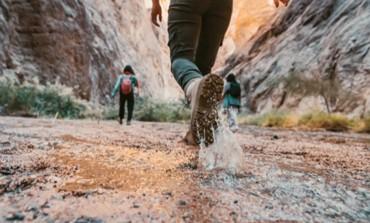 le mouvement inspire christian waniez